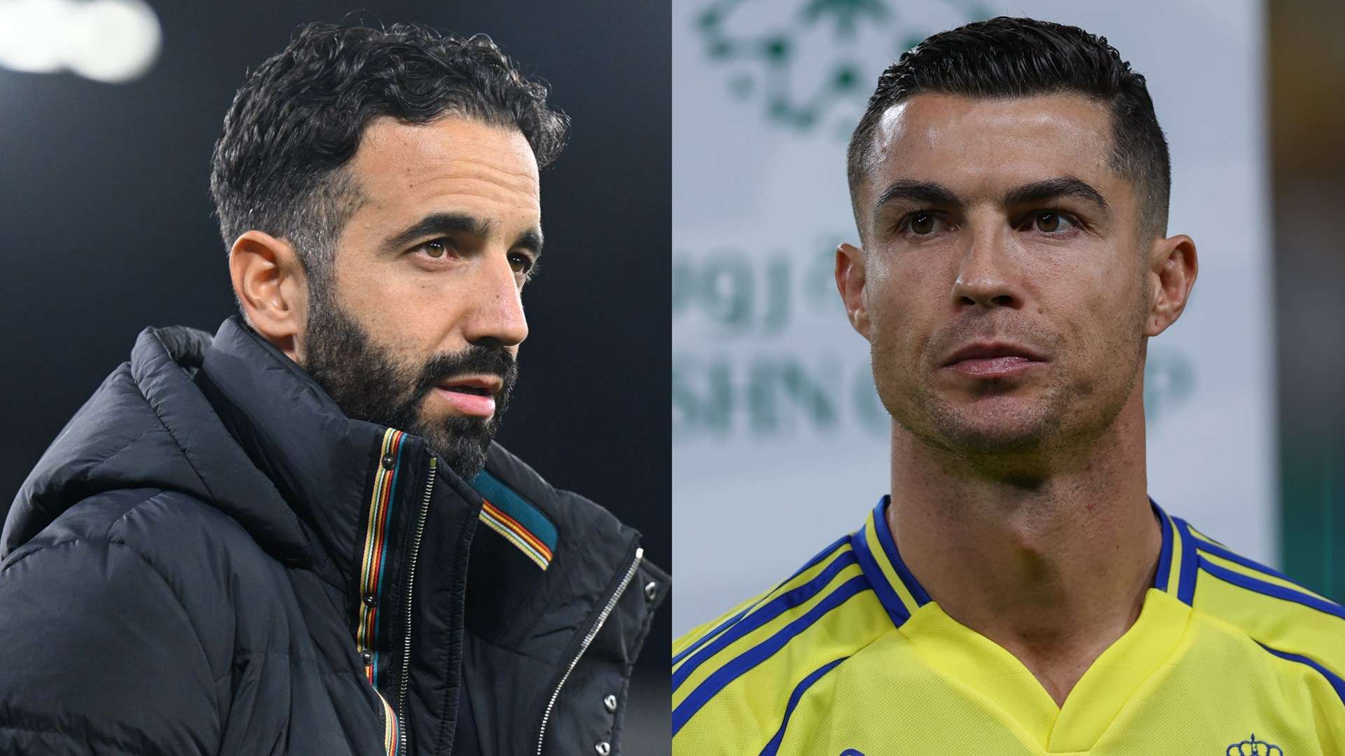 他们可能会 他们可能会